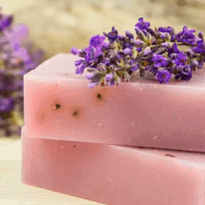 Lavanda