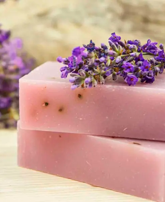 Lavanda
